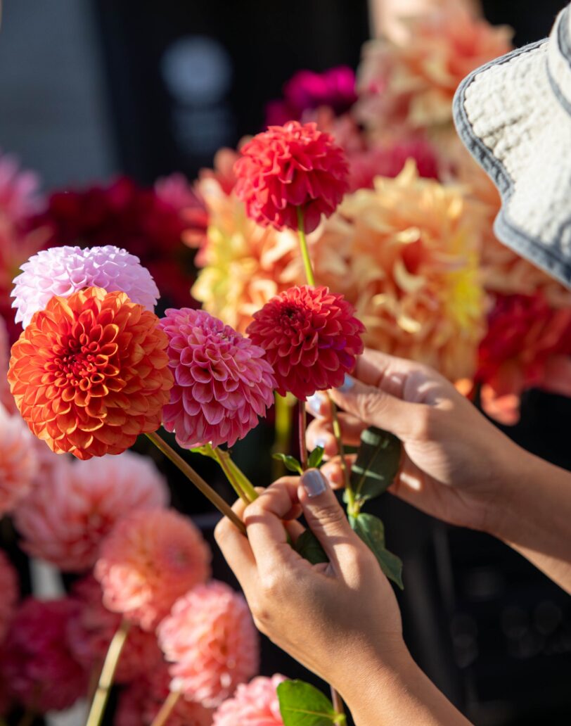 Neighborhood flower market