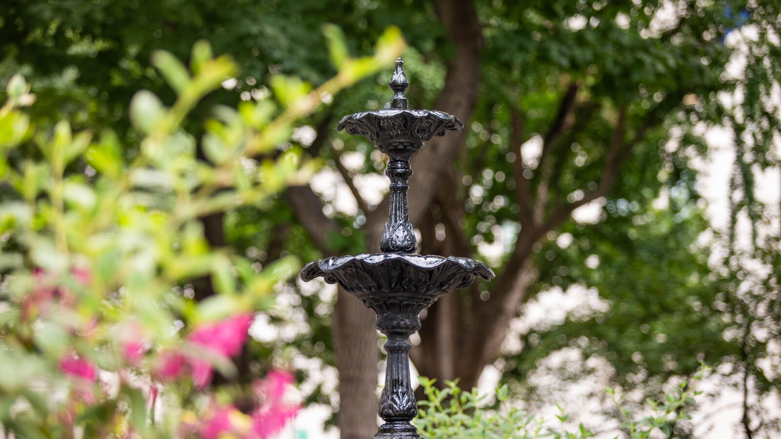 Fountain surrounded by flowers in Madison Square Park